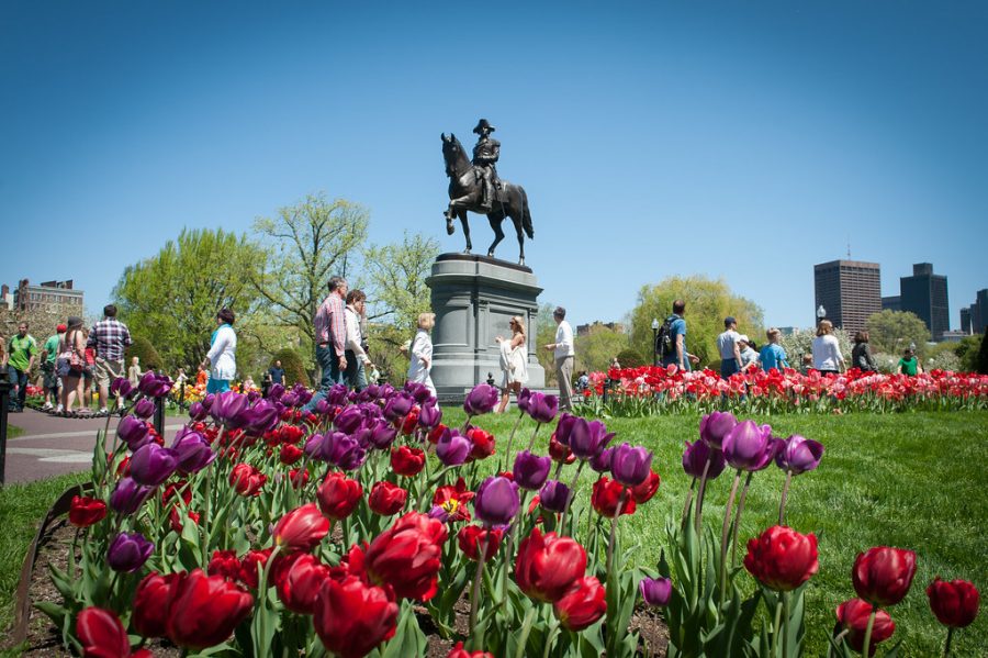 Boston Public Botanical Garden / Boston Public Garden Is One Of The