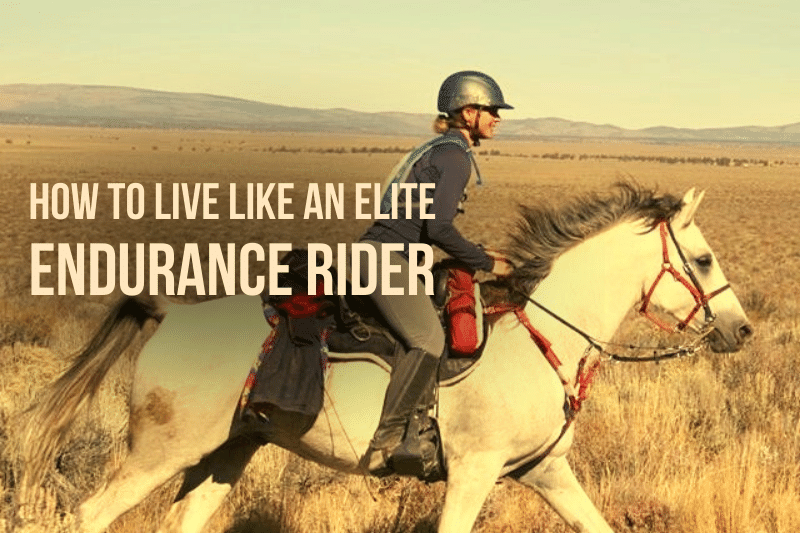 How to Live Like an Elite Endurance Rider The Sweaty Equestrian