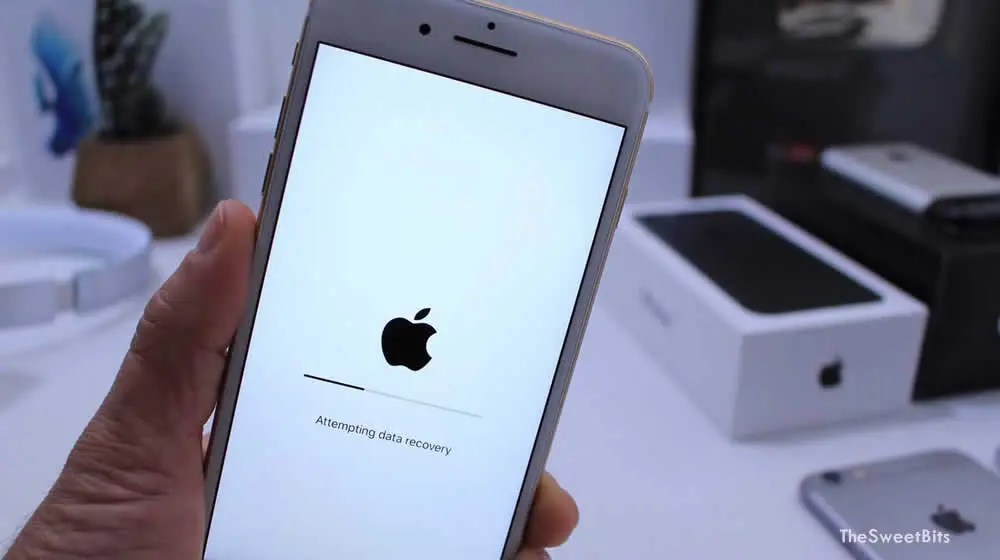 How to download iphone data recovery aveenas