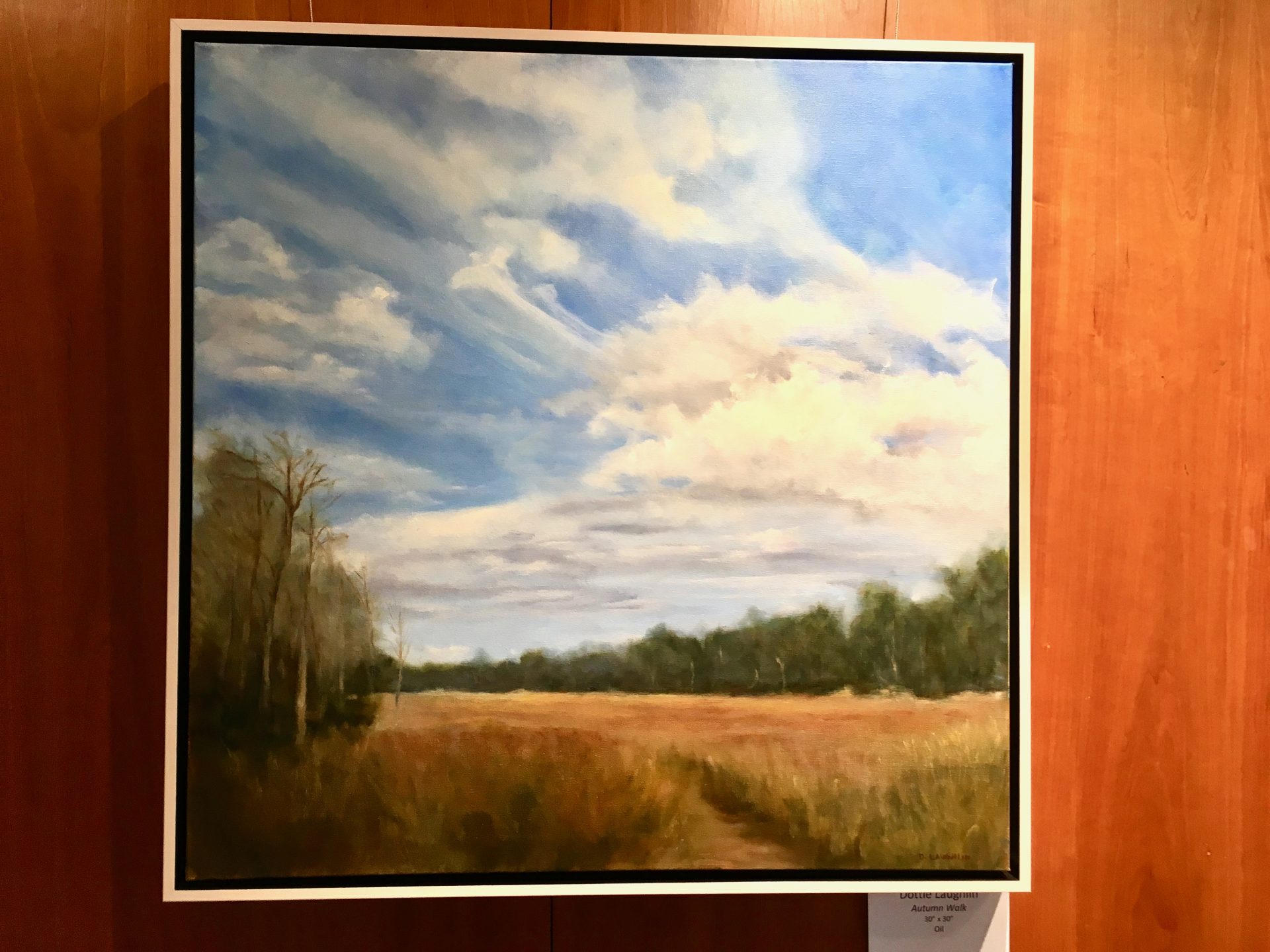 7th annual Senior Art Show at Wellesley Free Library The Swellesley