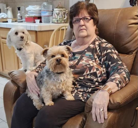 The Syracuse Journal