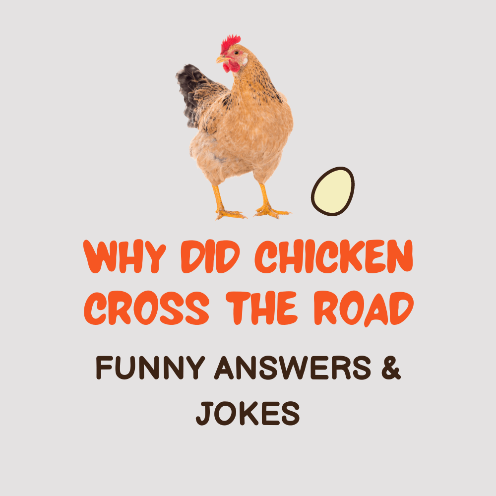 chicken road truffa o verità