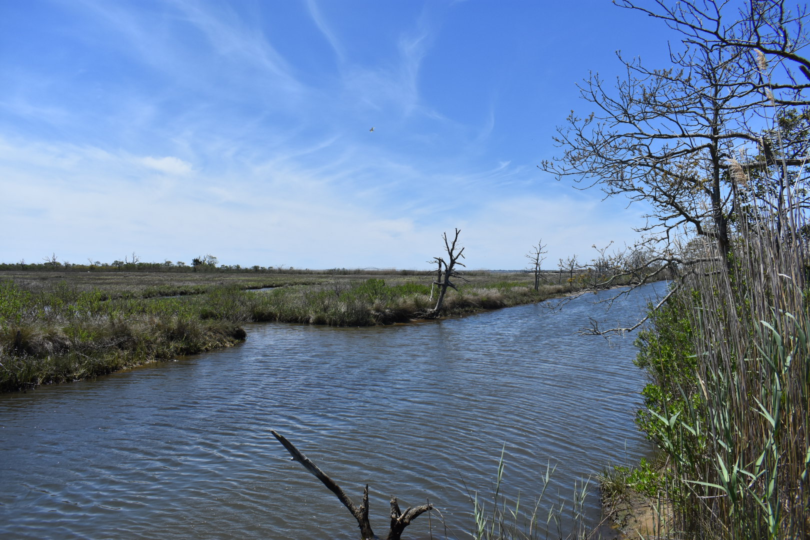 Heckscher State Park The Tail Guide