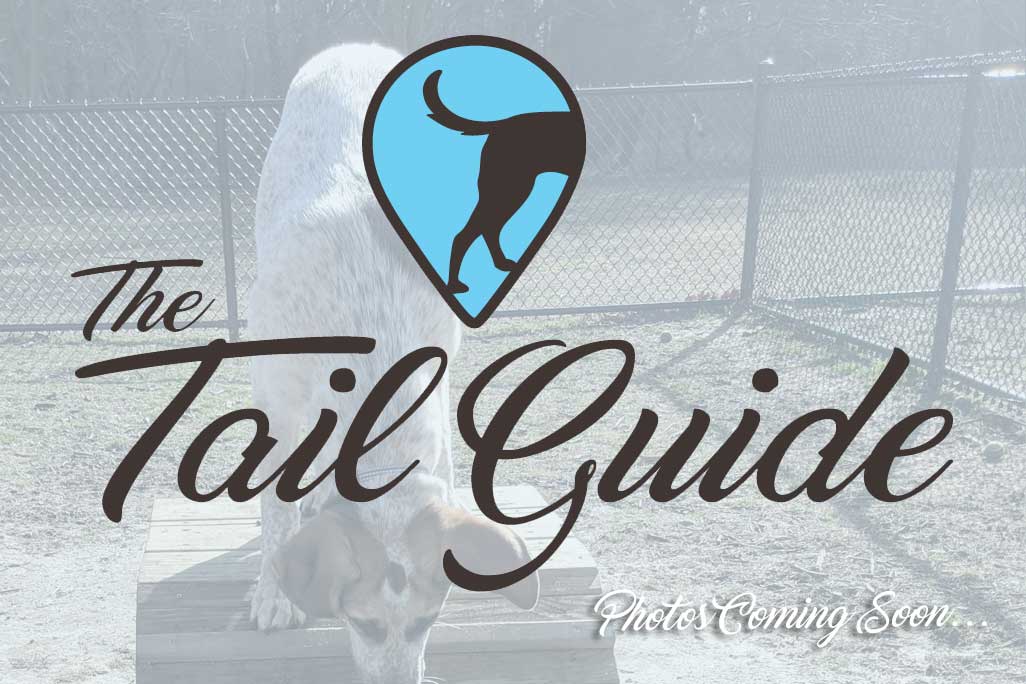 Canton Dog Park The Tail Guide