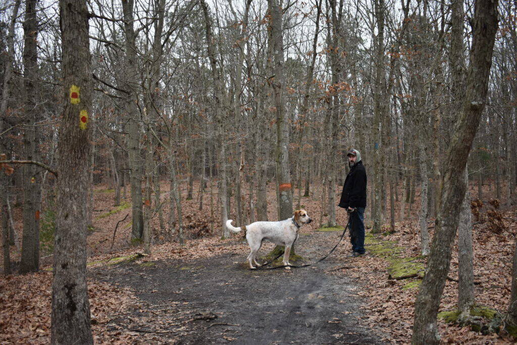 Bethpage State Park The Tail Guide