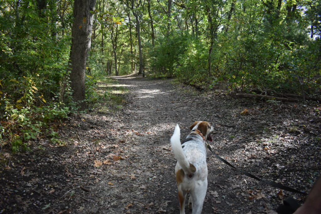 Bethpage State Park The Tail Guide