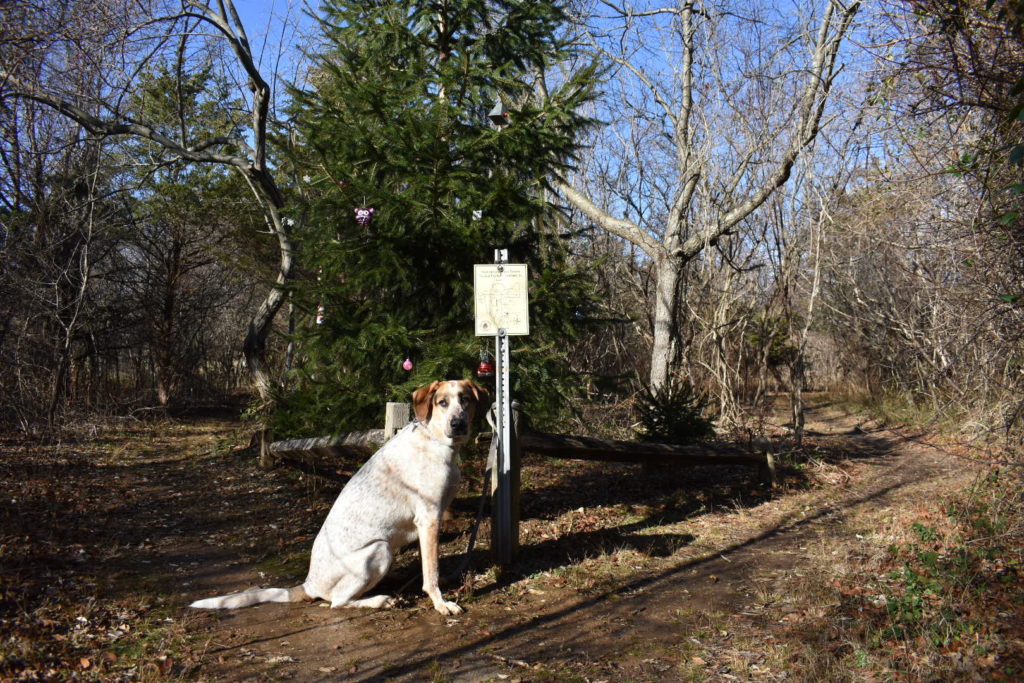 Froehlich Farms Nature Preserve The Tail Guide