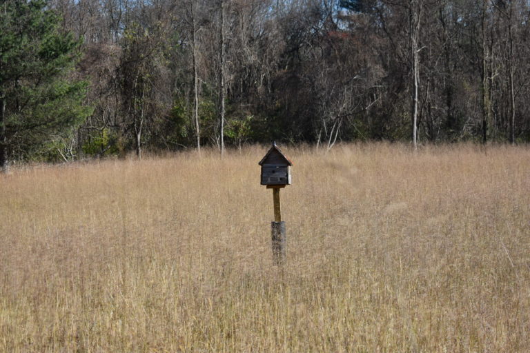 Humes Preserve The Tail Guide