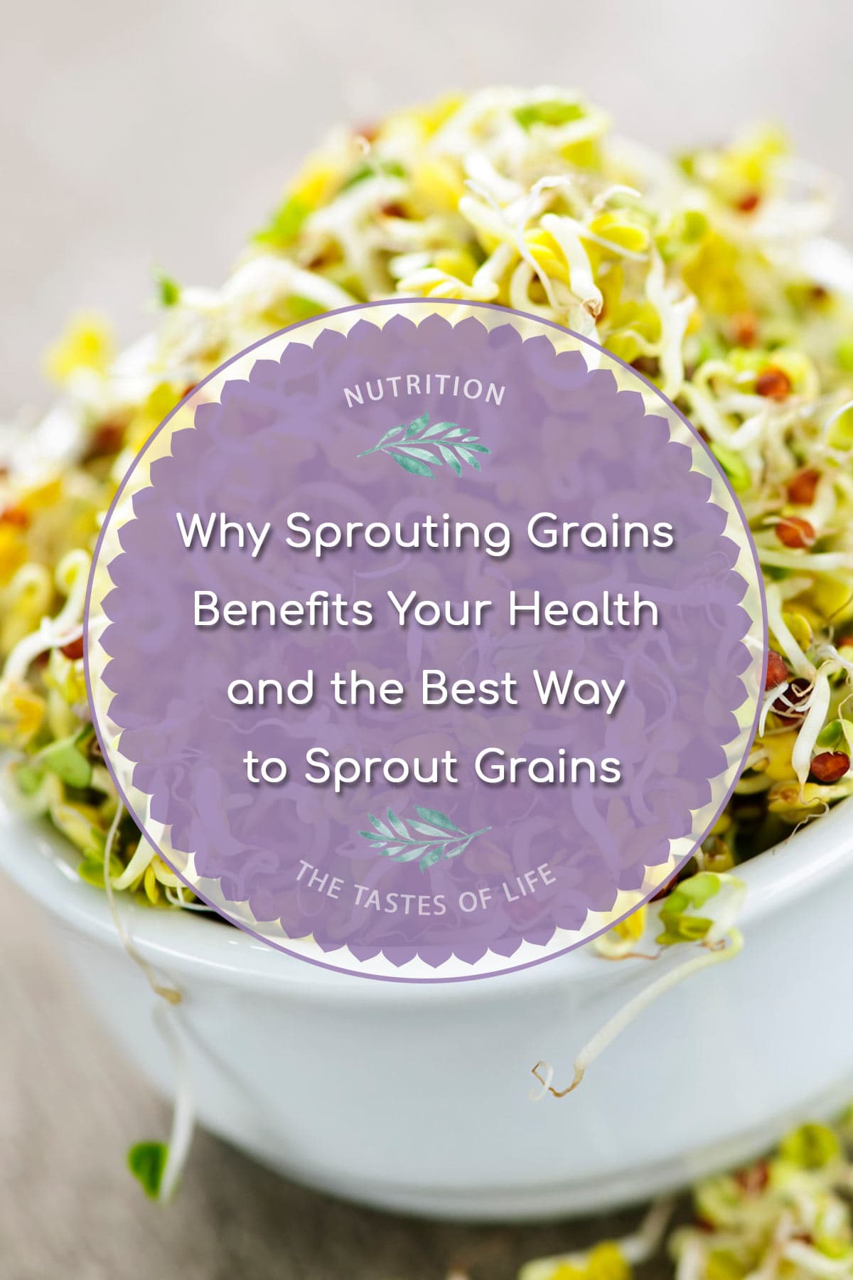 Sprouting Grains The benefits The Tastes of Life Holistic Cooking
