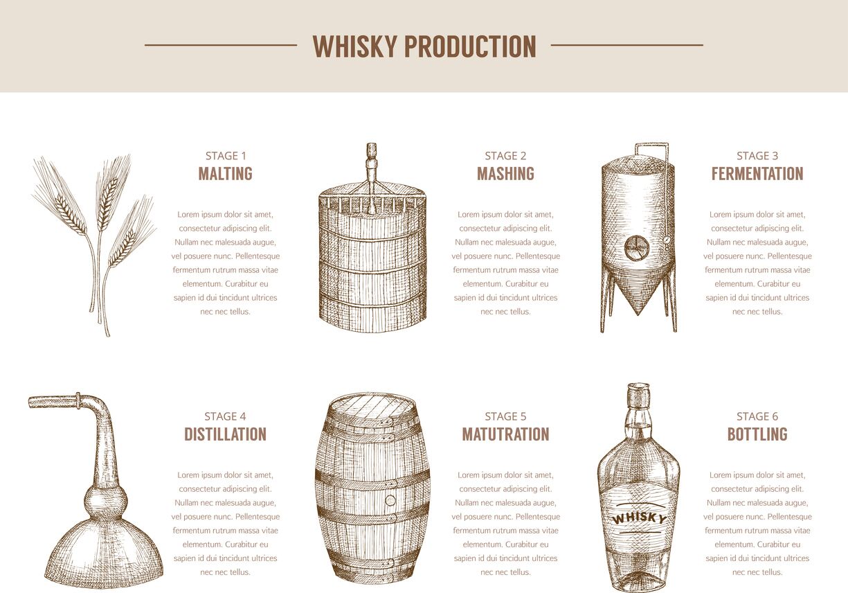 Scotch Whisky The 5 Main Categories A Brief Guide
