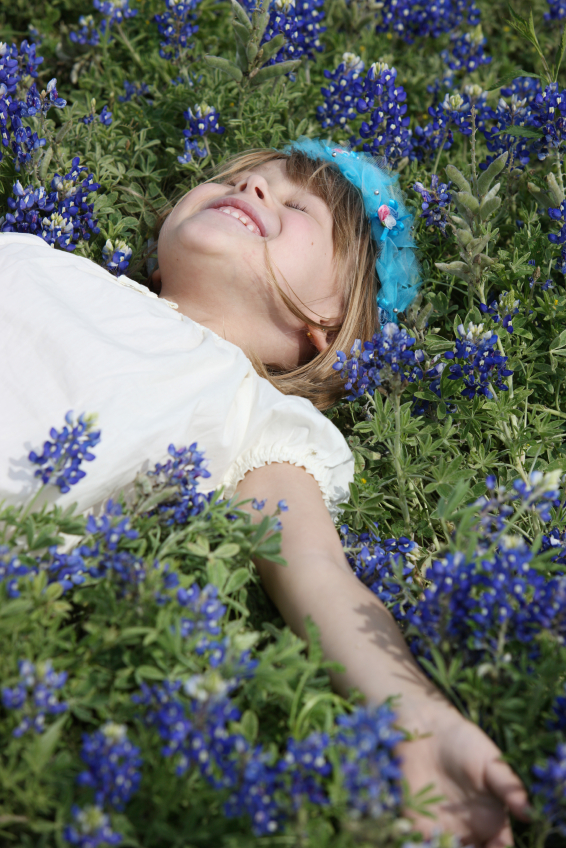 Online CPE Hours for Texas Teachers CPE Courses The Teachers Academy