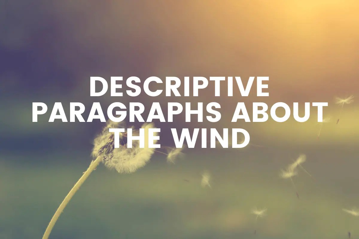 The Top 10 Descriptive Paragraphs About The Wind The Teaching Couple