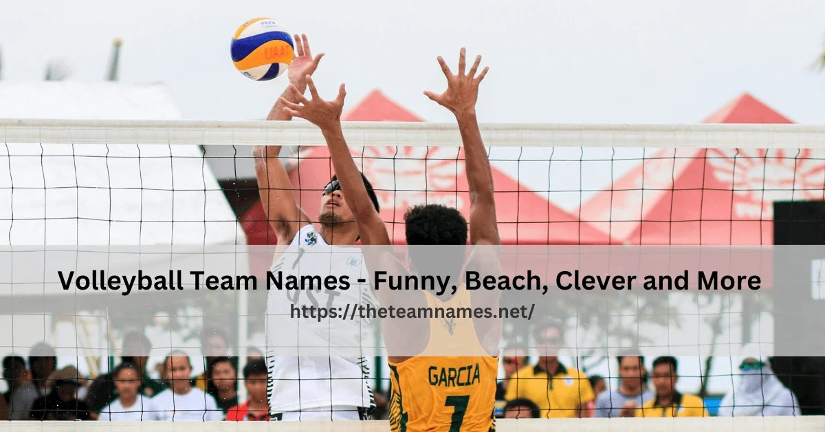 Top Volleyball Team Names That Are Everyone's Favorite in 2024