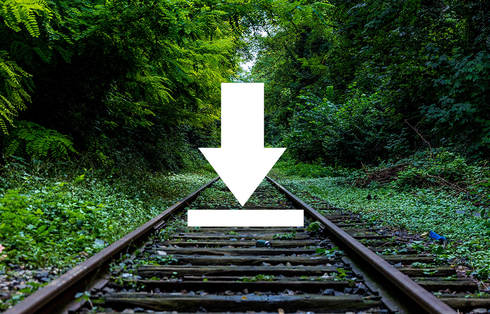 How to Download Images for Free?