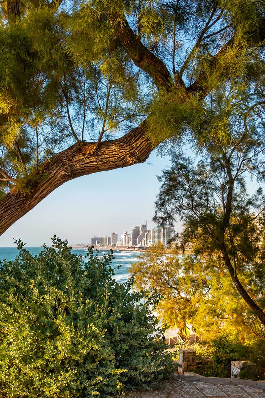 2023 Jaffa Real Estate Sales The Tel Avivi ⎸ Property Advisors 2024