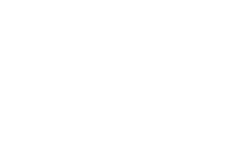 MARKET RESEARCH The Telepoint Group Cherry Hill, NJ