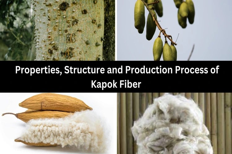 Kapok Fiber Properties, Structure and Production Process