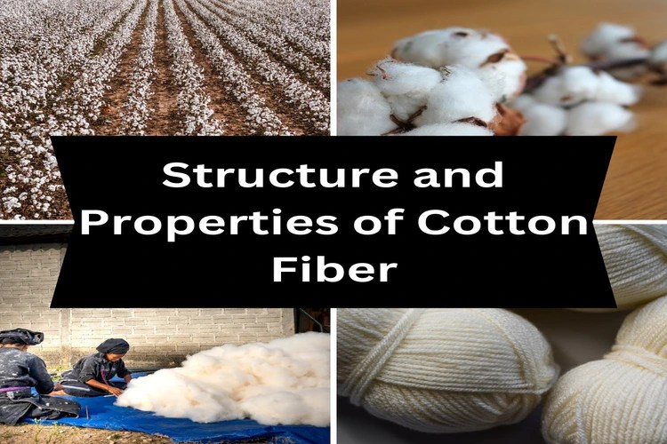 Structure and Properties of Cotton Fiber The Textile Journal