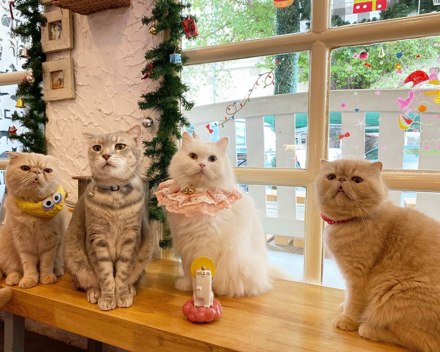 The most unique and quirky dining experiences in Bangkok Breaking the mold