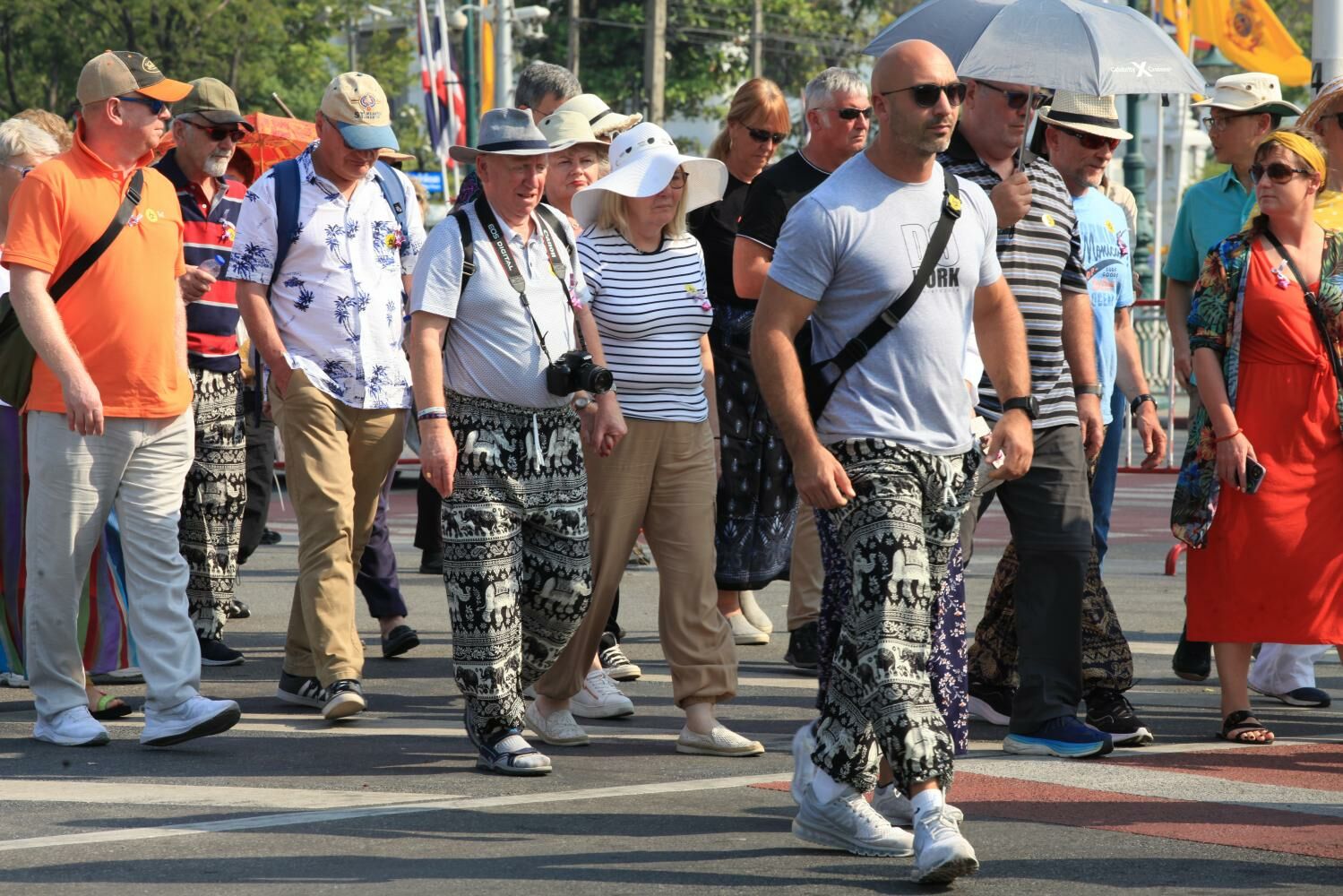 Thai customs halt import of Chinese elephantpatterned trousers Thaiger