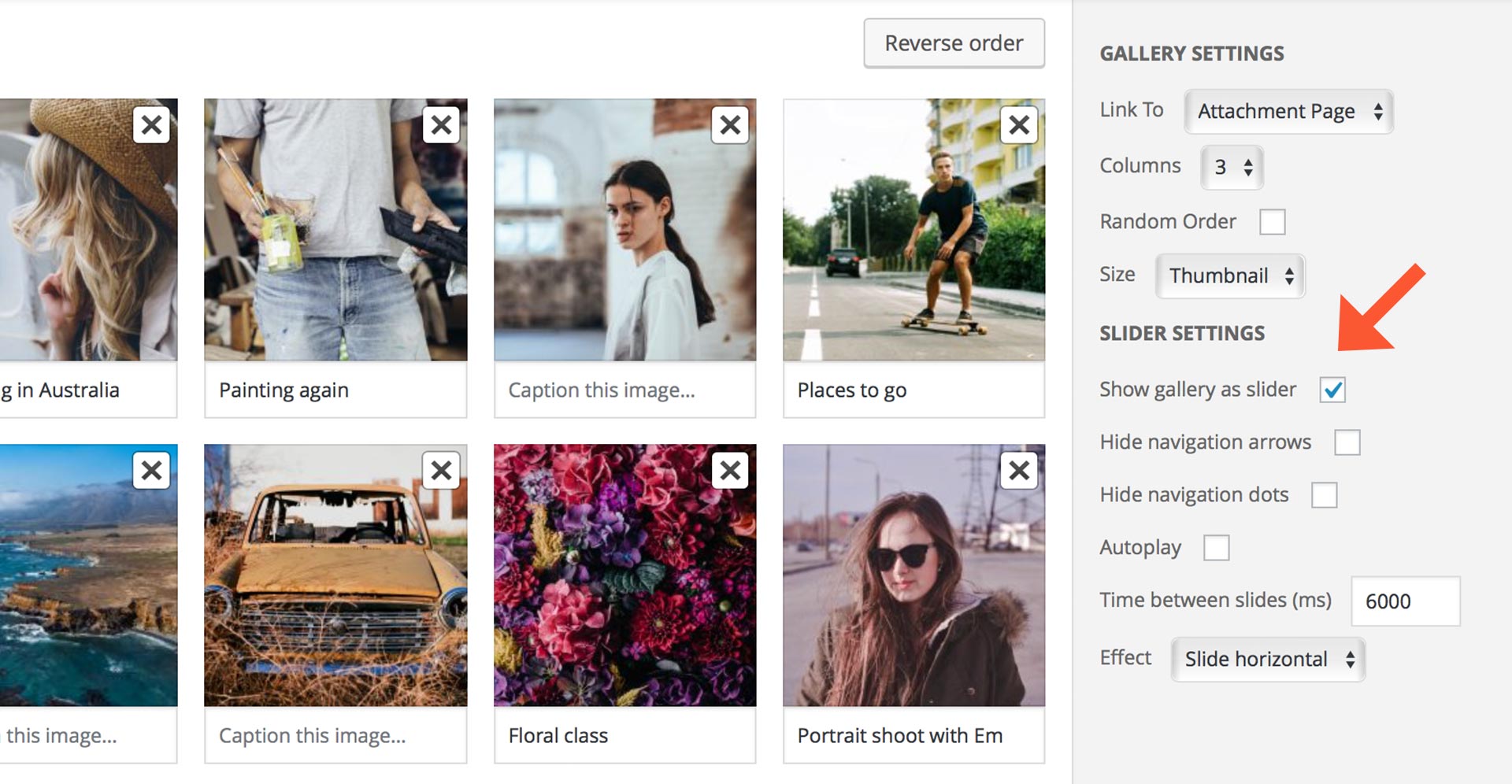 » Gallery Slider — The Theme Foundry