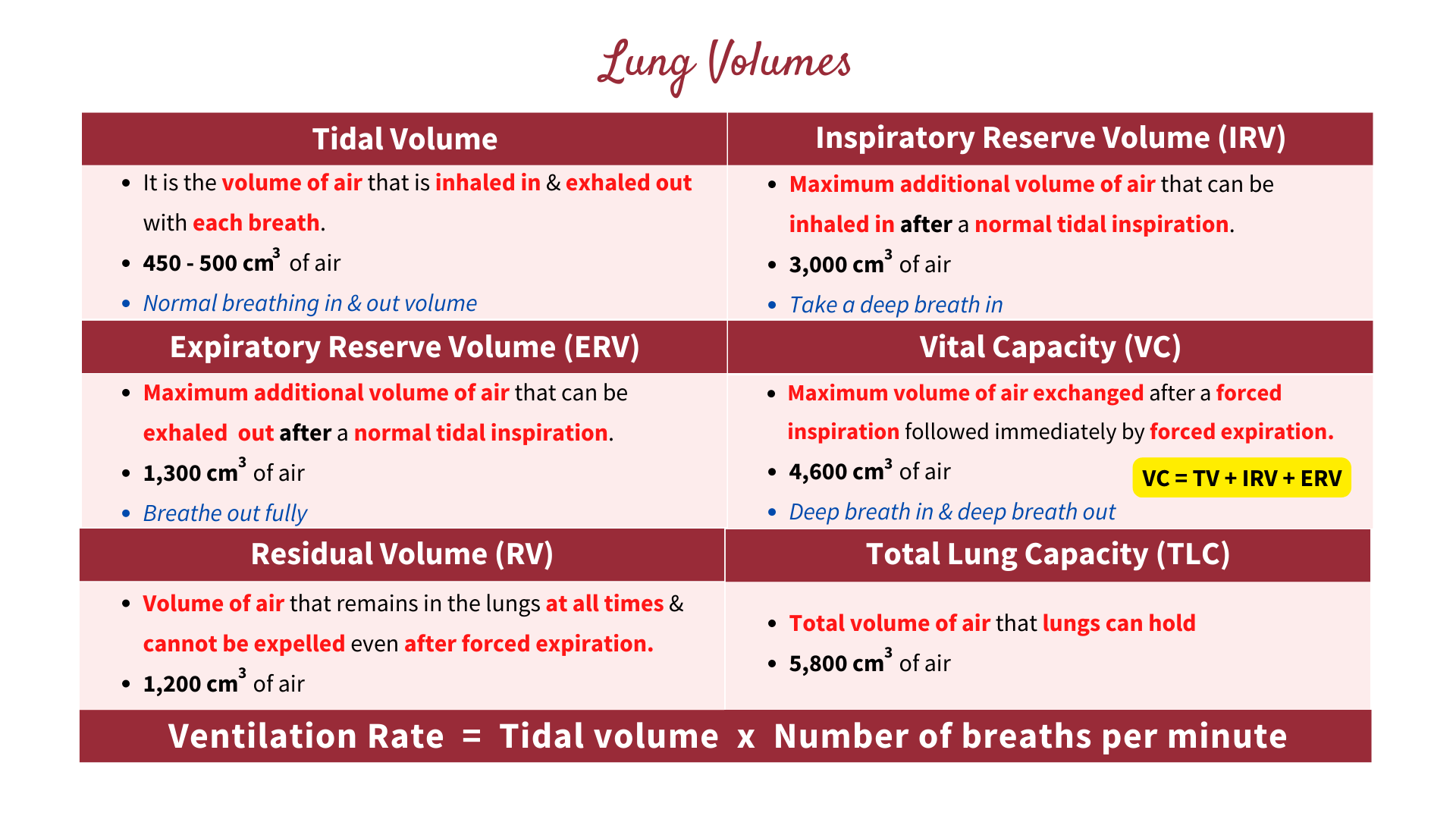 Breathing Mechanism & Lung Volumes Gaseous Exchange The Theoretical
