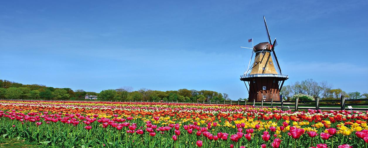 Holland, Michigan The Things Network Community