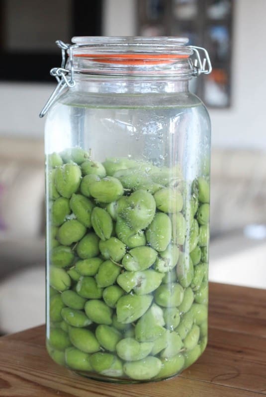 Homemade Salt Cured Olives Oh, The Things We'll Make!