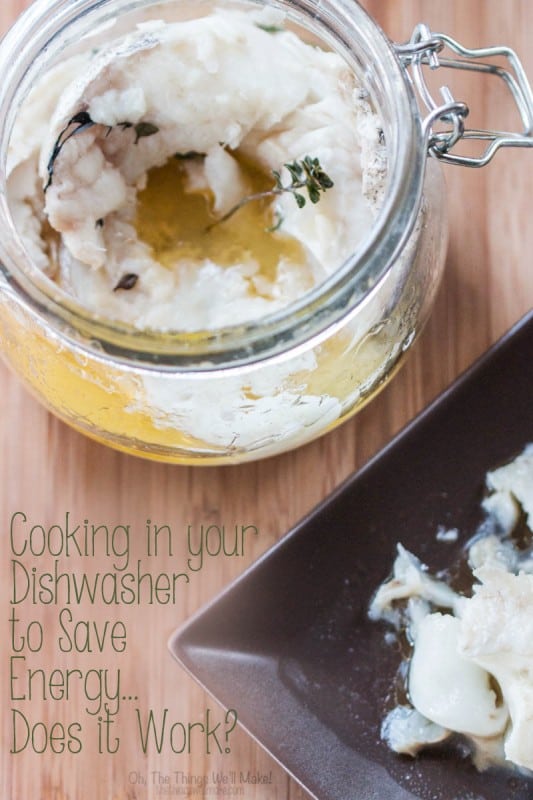 Cooking in the Dishwasher Living the Green Life Oh, The Things We'll