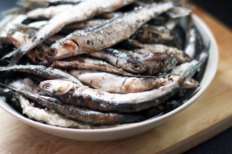 Homemade Salt Cured Anchovy Fillets Oh, The Things We'll Make!