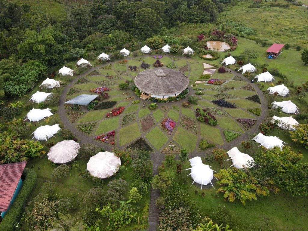 Master Plant Dieta and Ayahuasca Retreat by The Plant Medicine People Ayahuasca Retreat in San