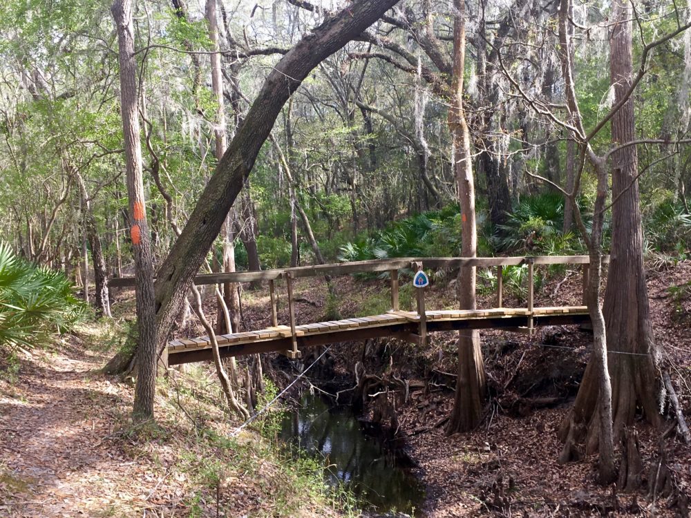 Day 21/9 Turkey Run Trailhead to White Springs The Thousand Miler