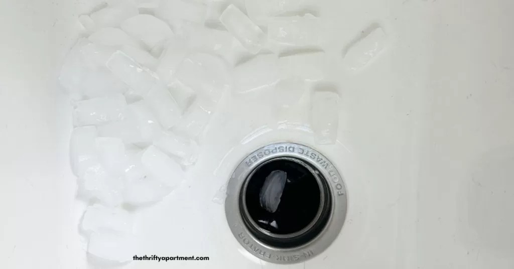 9 Ways to Clean a Smelly Garbage Disposal