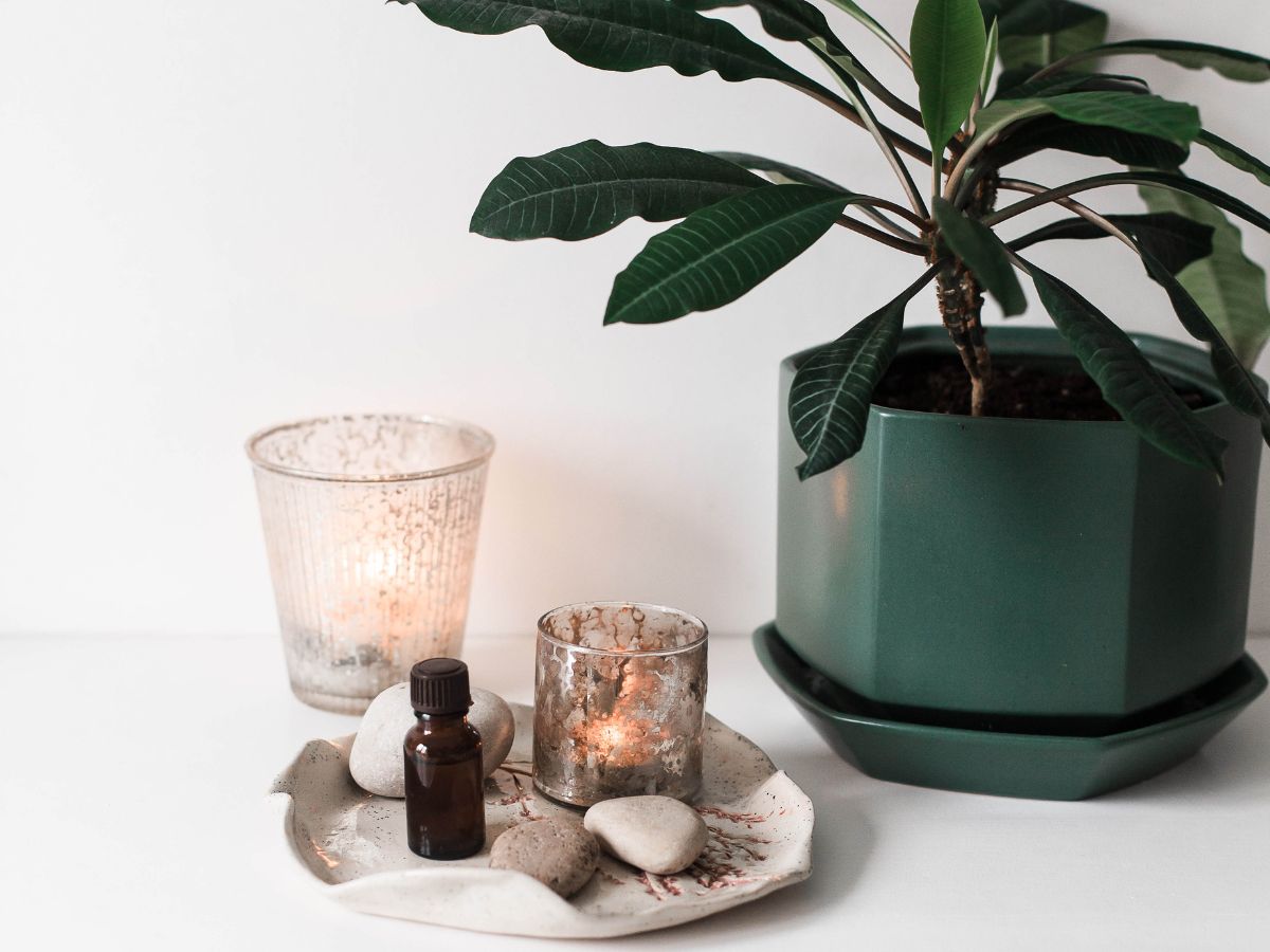 Ways to Decorate with Rocks in Your Home