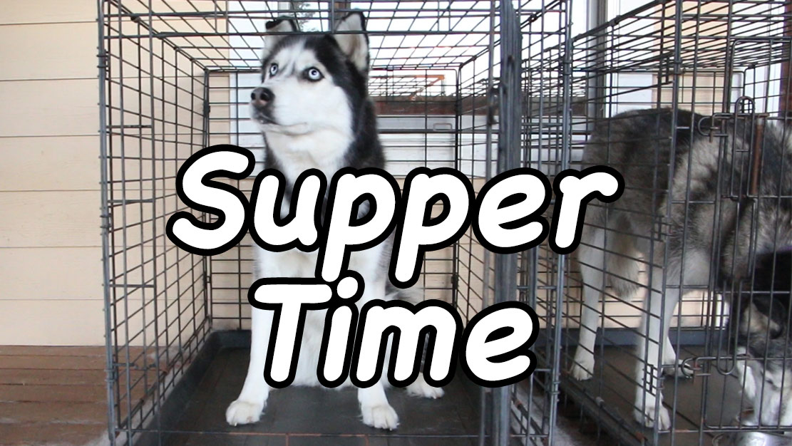 Supper Time A Film Friday Production The Thundering Herd