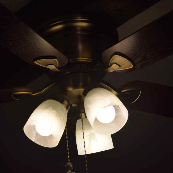 Can LED Bulbs be Used in Ceiling Fans The Tibble