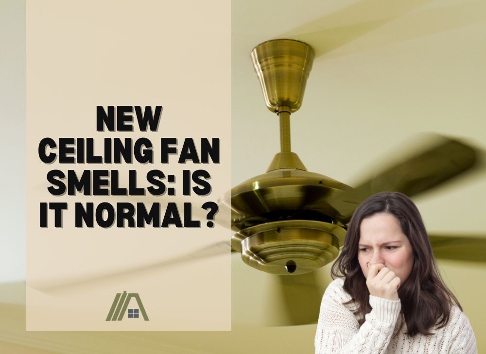 New Ceiling Fan Smells Is It Normal? The Tibble