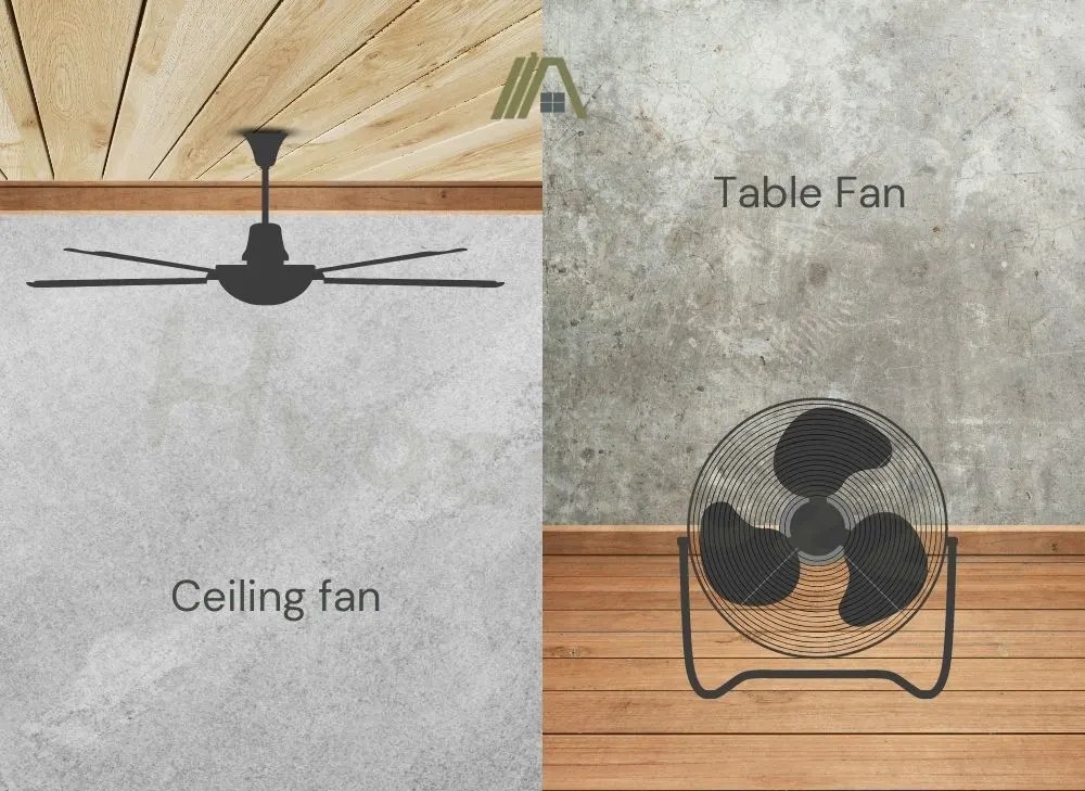 Difference Between Ceiling Fan and Table Fan The Tibble