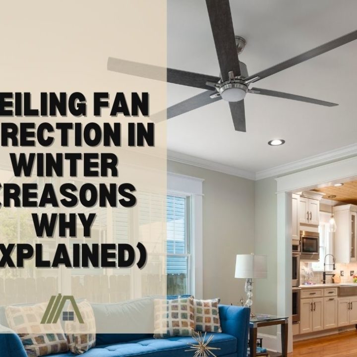 Ceiling Fan Direction In Winter (Reasons why explained) The Tibble