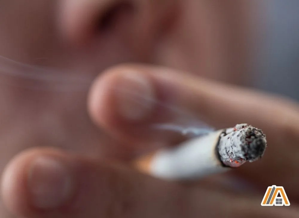 Why Do Bathroom Walls Sweat Yellow/Brown (How to Stop It) The Tibble