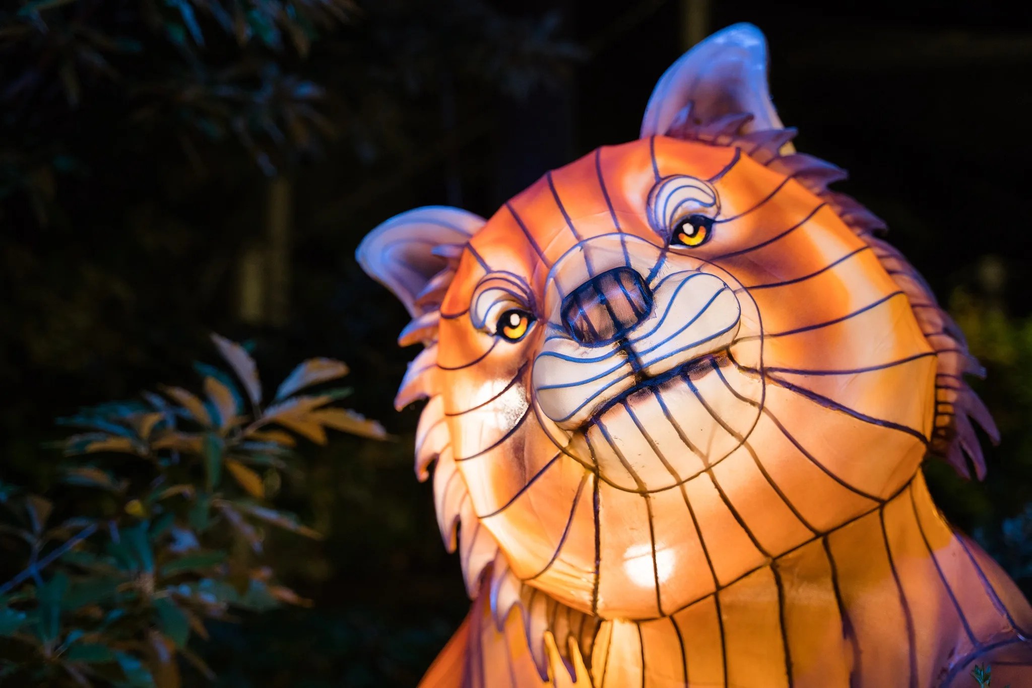 WildLanterns Woodland Park Zoo The Ticket
