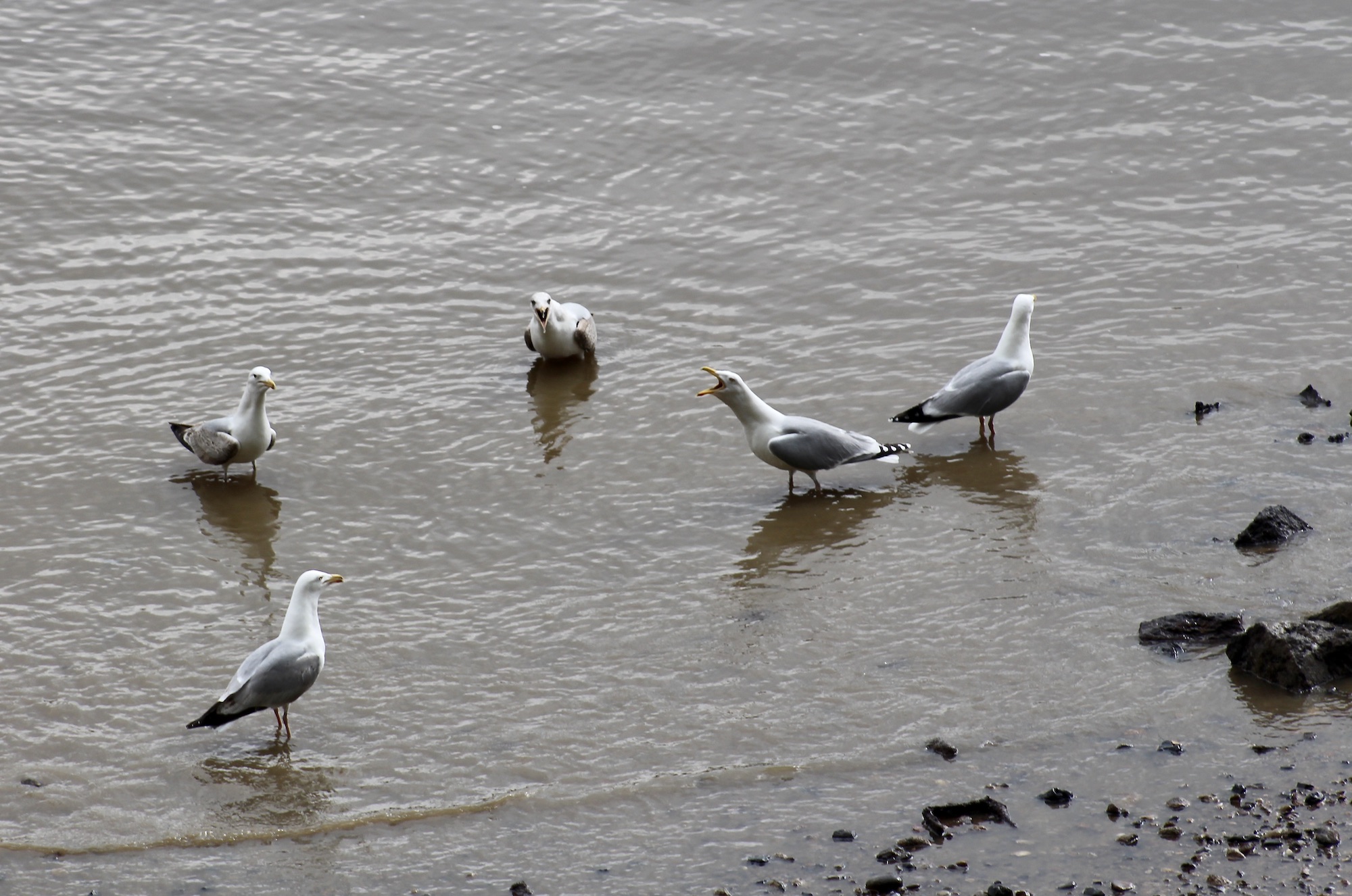 Interlude… Ebb & Flow