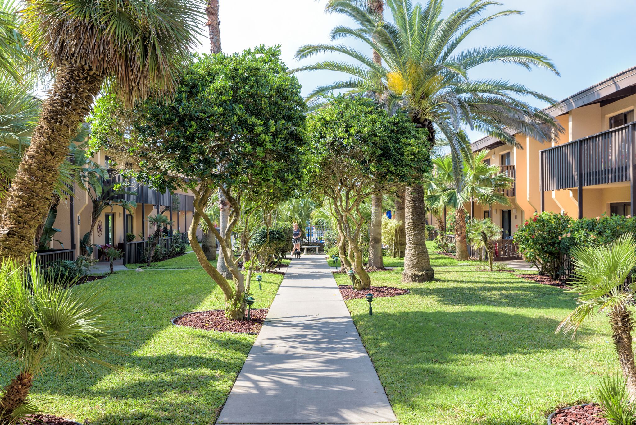 South Padre Island Beachfront Vacation Rentals The Tiki