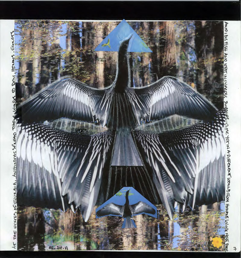 joan schwartz The Time Project