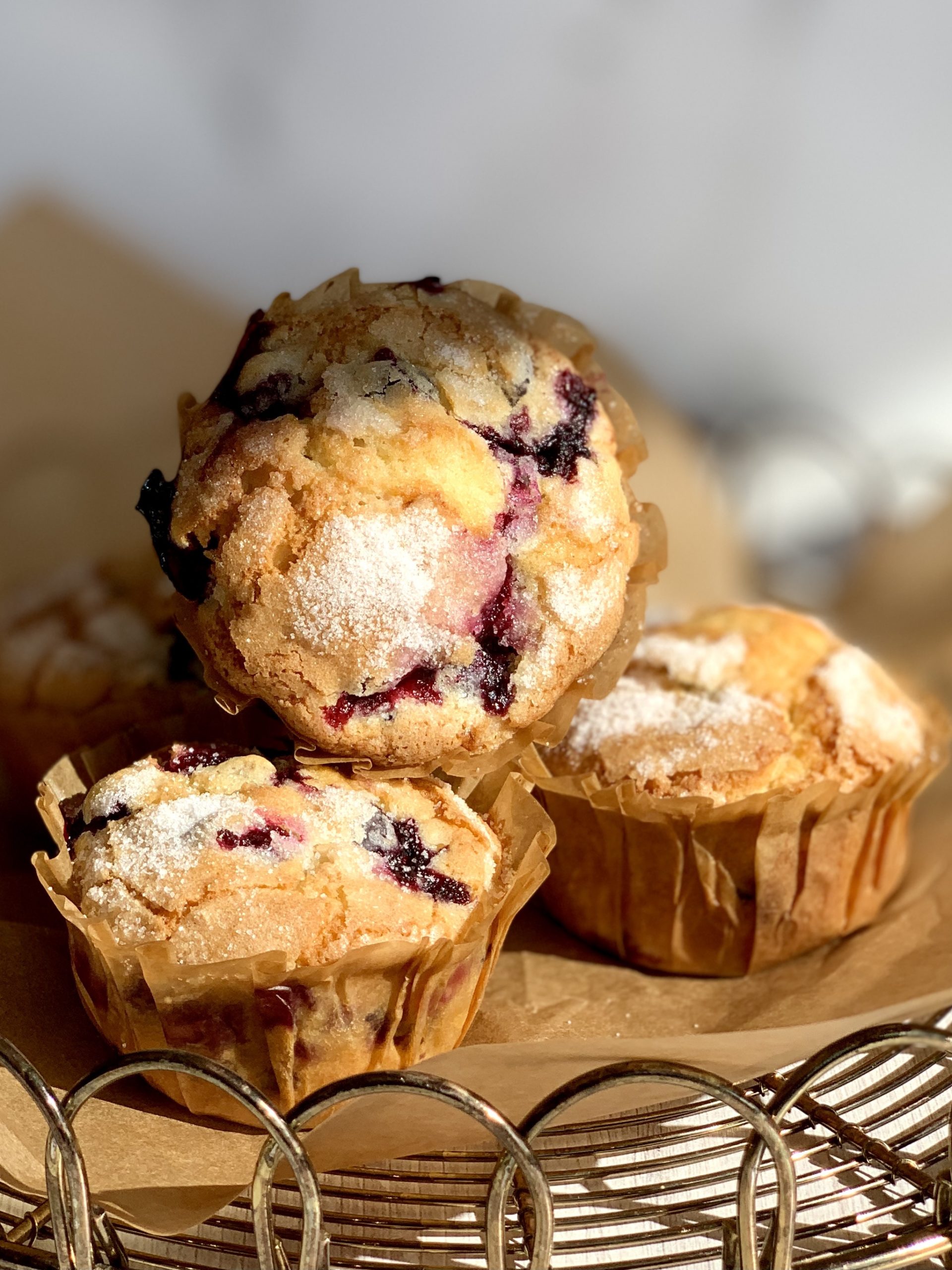Jordan Marsh’s Legendary Blueberry Muffins The Tiny Fairy