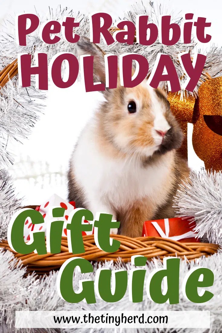 Rabbit Care Archives The Tiny Herd