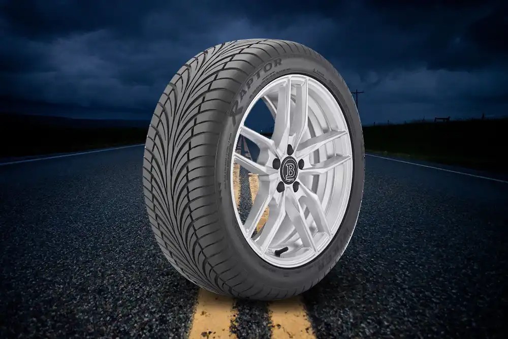 Riken Raptor ZR A/S Review The AllSeason Predator Your Car Craves