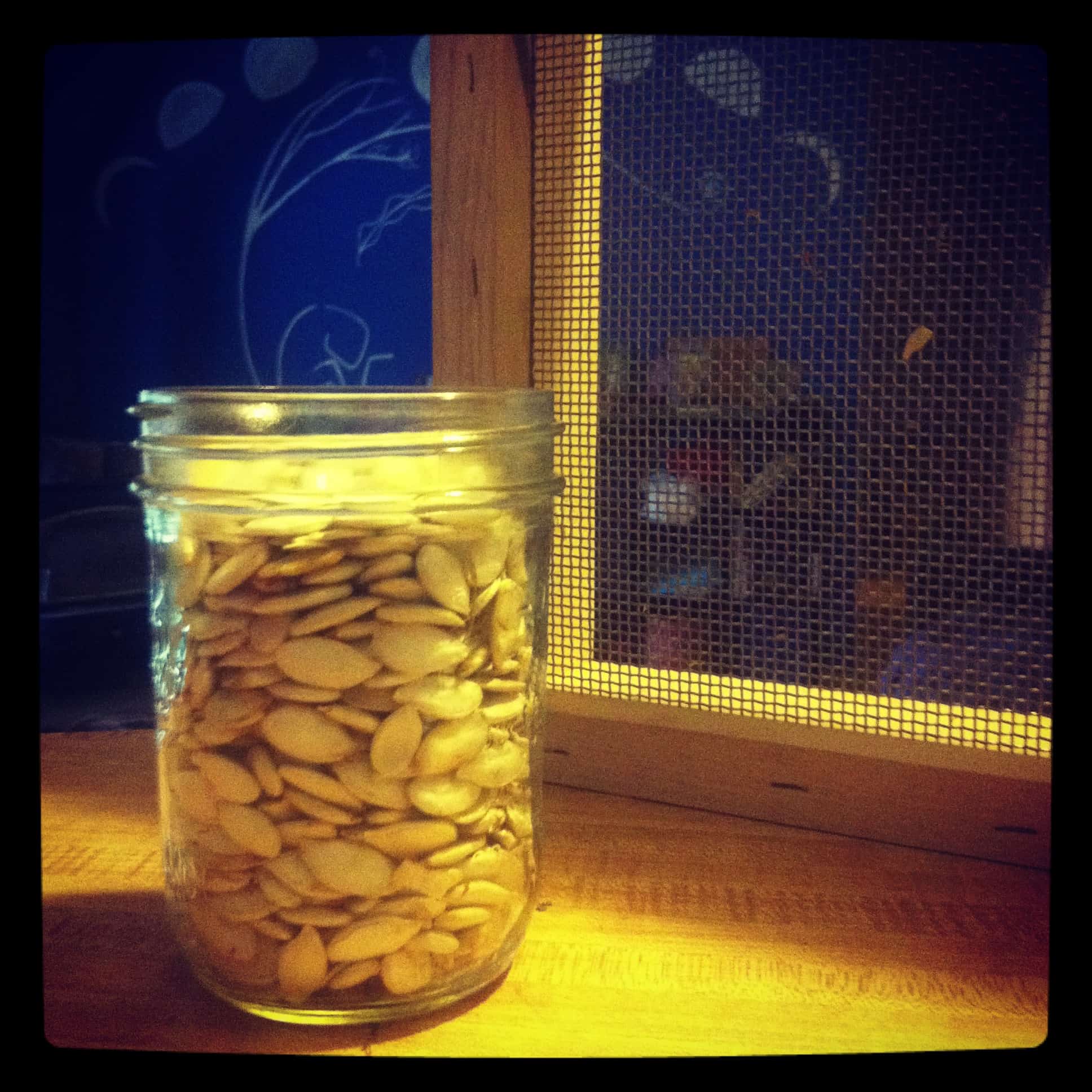 How To Save Winter Squash Seed The Tool Merchants