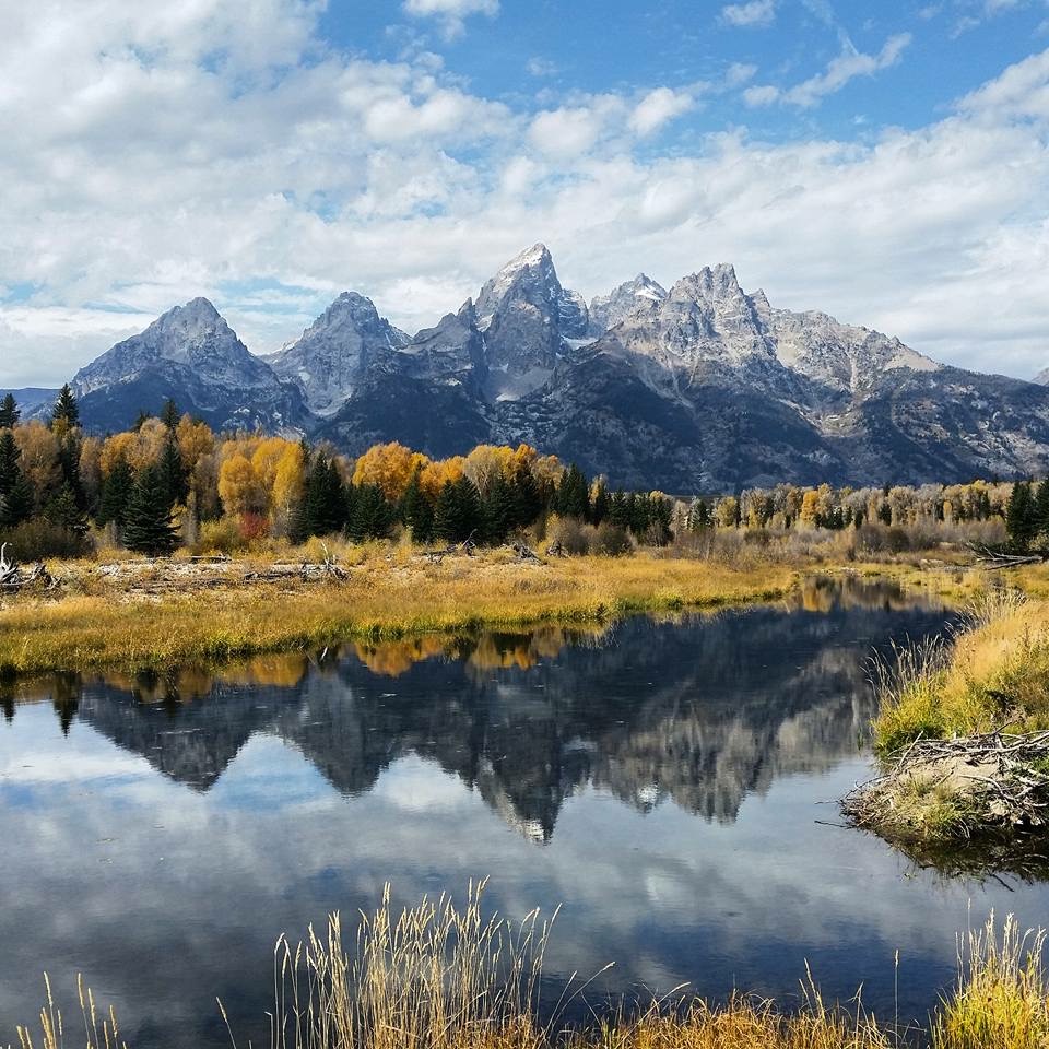 Jackson Hole Connection Top Shelf Collective