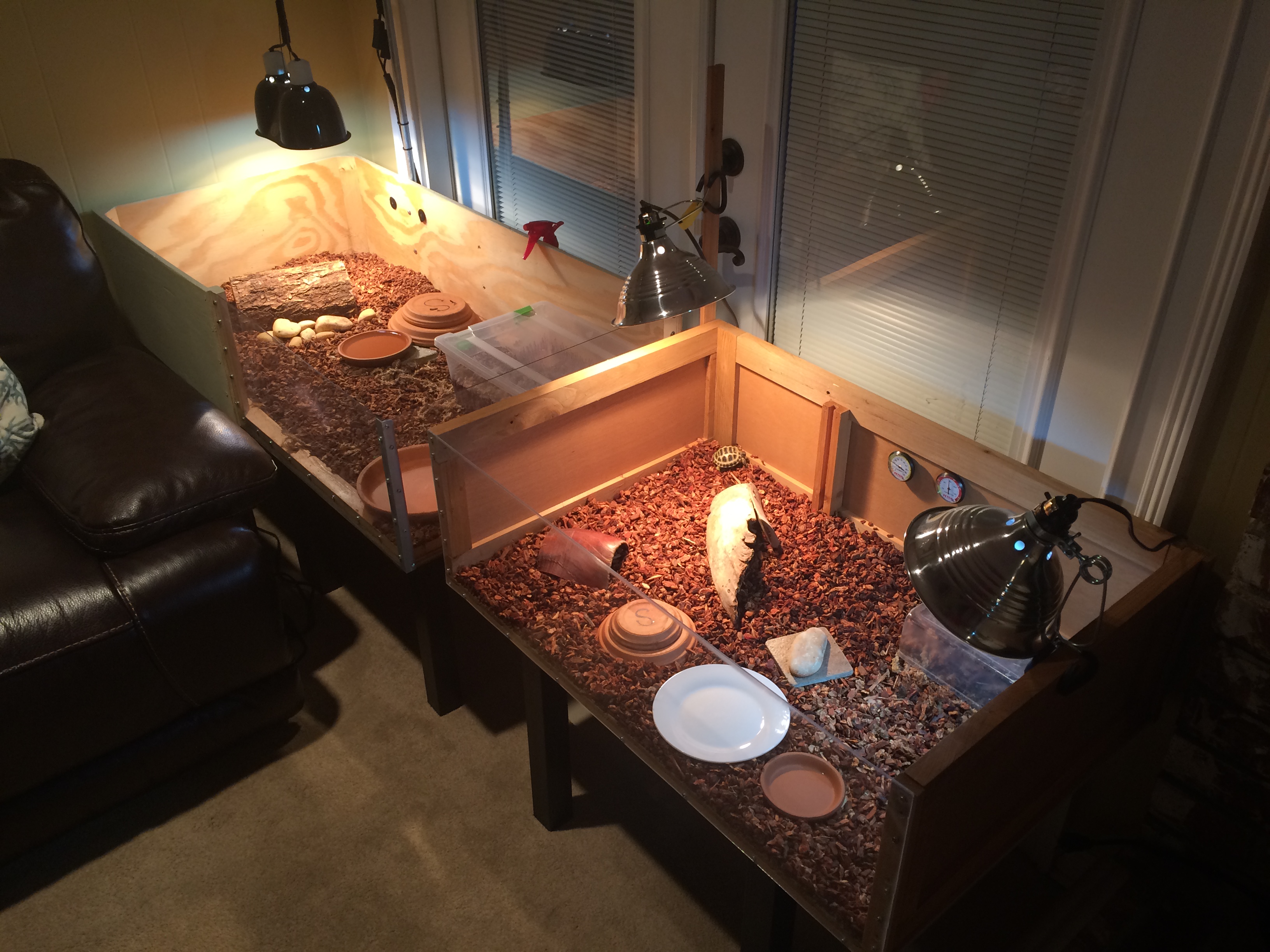 Russian Tortoise Indoor Housing The Tortoise Keeper